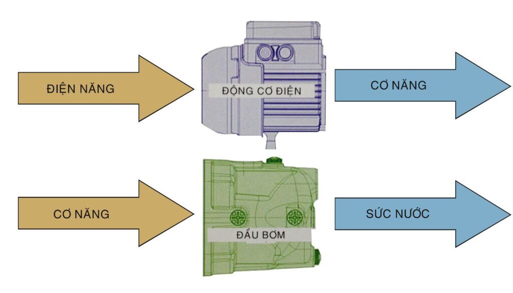 dong co may bom nuoc la gi