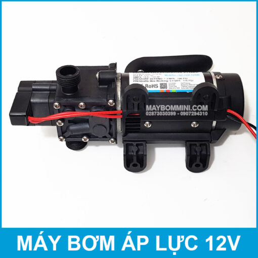 12 Volt Diaphragm Pump 120W 10L Smartpumps