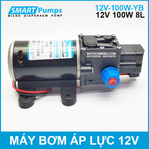 High Pressure Diaphragm Water 12V 100W Smartpumps