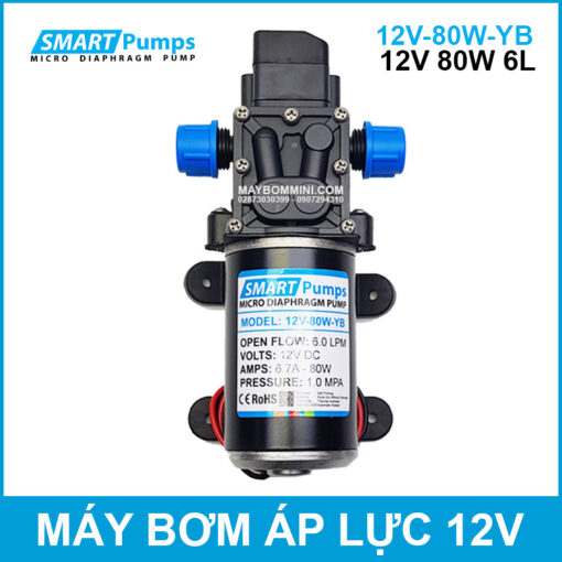 May Bom Ap Luc Mini Smarpumps 12V 80W 6L Chinh Hang