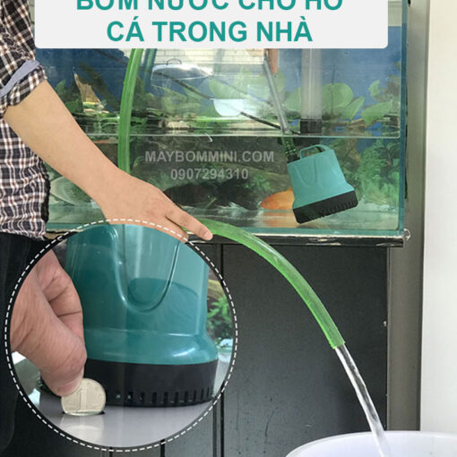 Bom Nuoc Thai Loc Nuoc Ho Ca