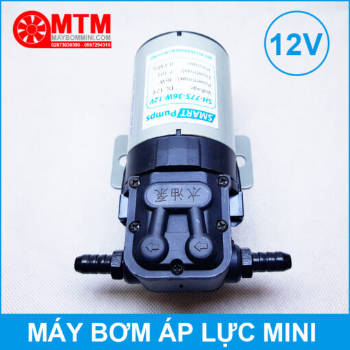 Dau Bom May Ap Luc Mini 12v 24v