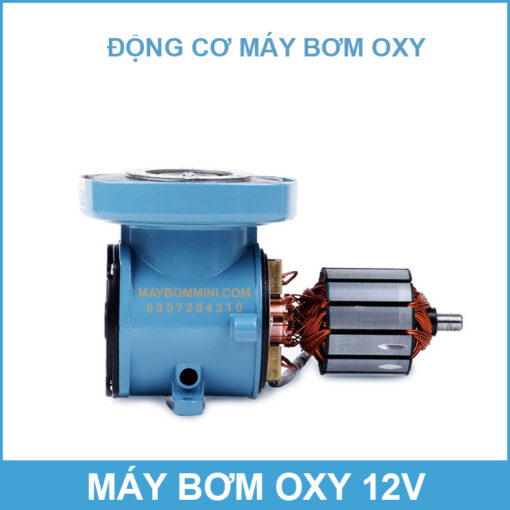 May Bom Oxy Chinh Hang Gia Re