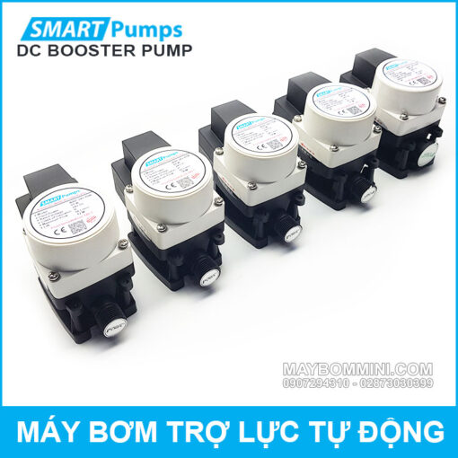 May Bom Tro Luc Nuoc Nong Lanh Mini 24V