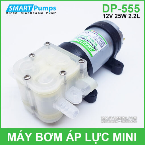 Bom Nuoc Nho Mini 12v Dp 555