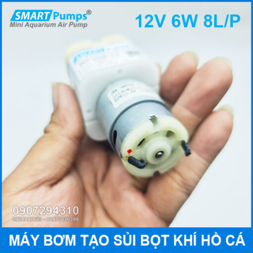 Motor May Bom Tao Oxy 12v Ho Ca