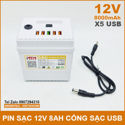 Pin 12v Du Phong 8000mah Gia Tot