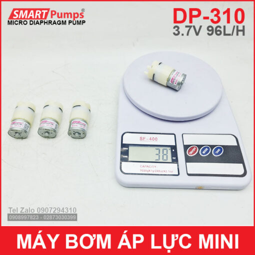 Bom Ap Luc 12v Ap Luc Mini DP 310