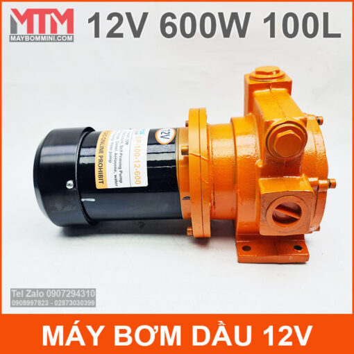 Bom Dau Cao Cap Luu Luong Lon 12v 600w